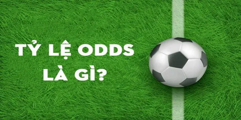 Giới thiệu về phân tích odds đội 7m